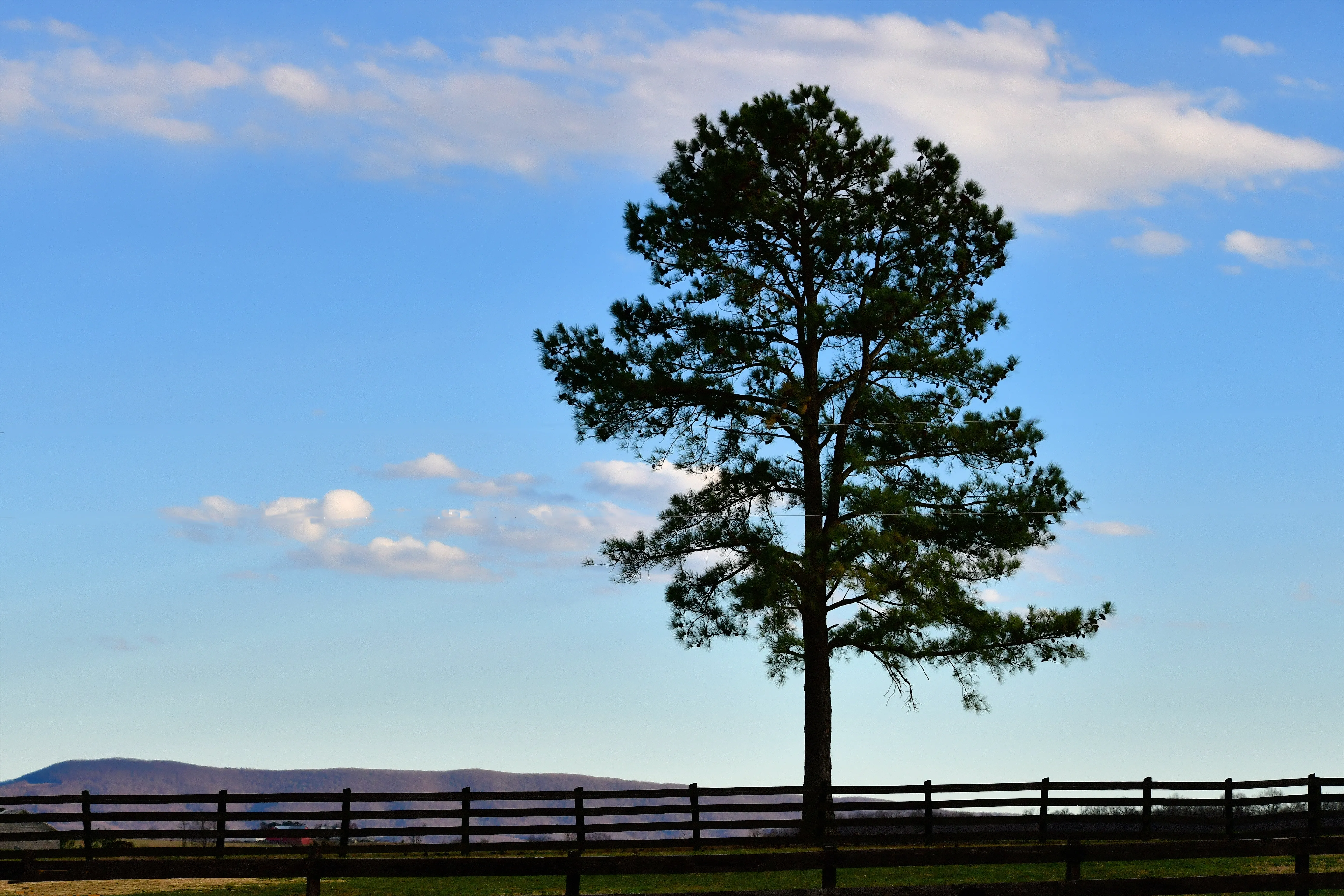 Countryside landscape near Naugaon by Aranyaka Estates, surrounded by lush green hills and scenic walking trails.
